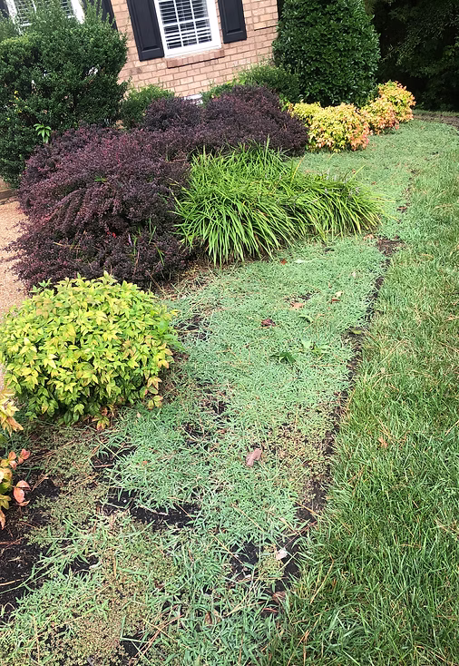 Flower Bed Maintenance