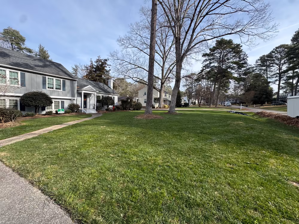 Aeration & Overseeding — Montgomery Landscape, Richmond VA