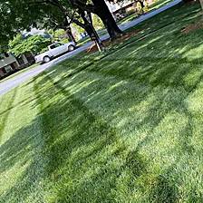 Freshly mown lawn showing clean mower stripes