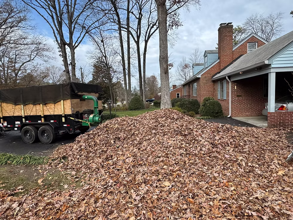 Leaf Cleanup