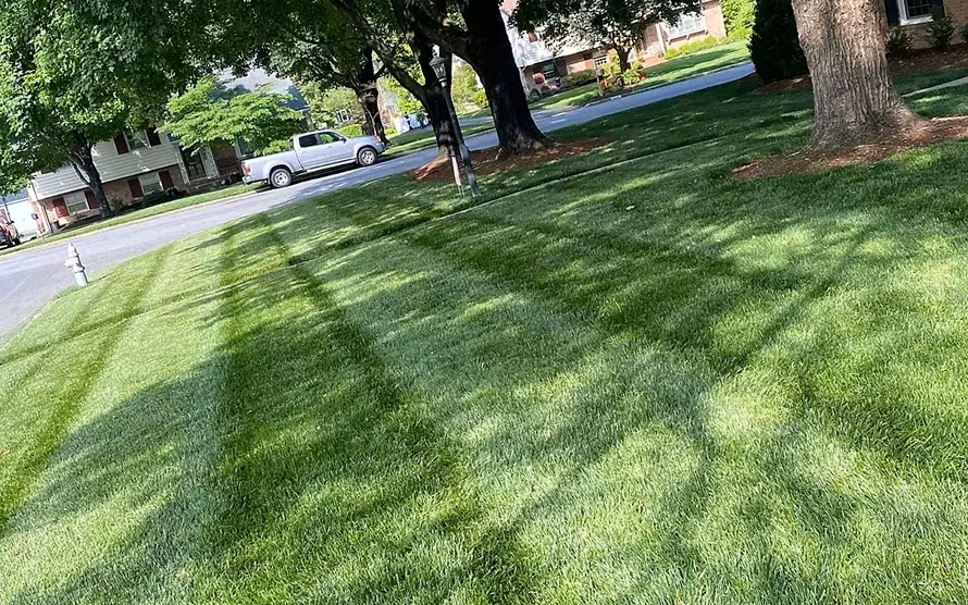 Lawn Mowing — Montgomery Landscape, Richmond VA