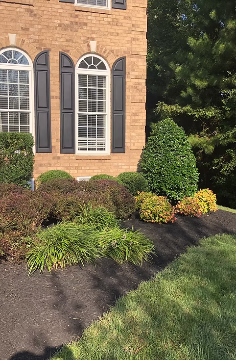 Mulch Installation
