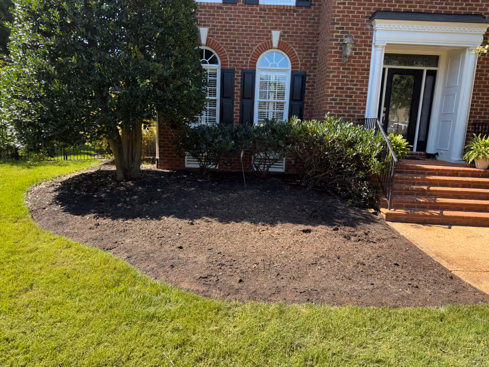 The same front bed cleared to fresh soil with the tree retained