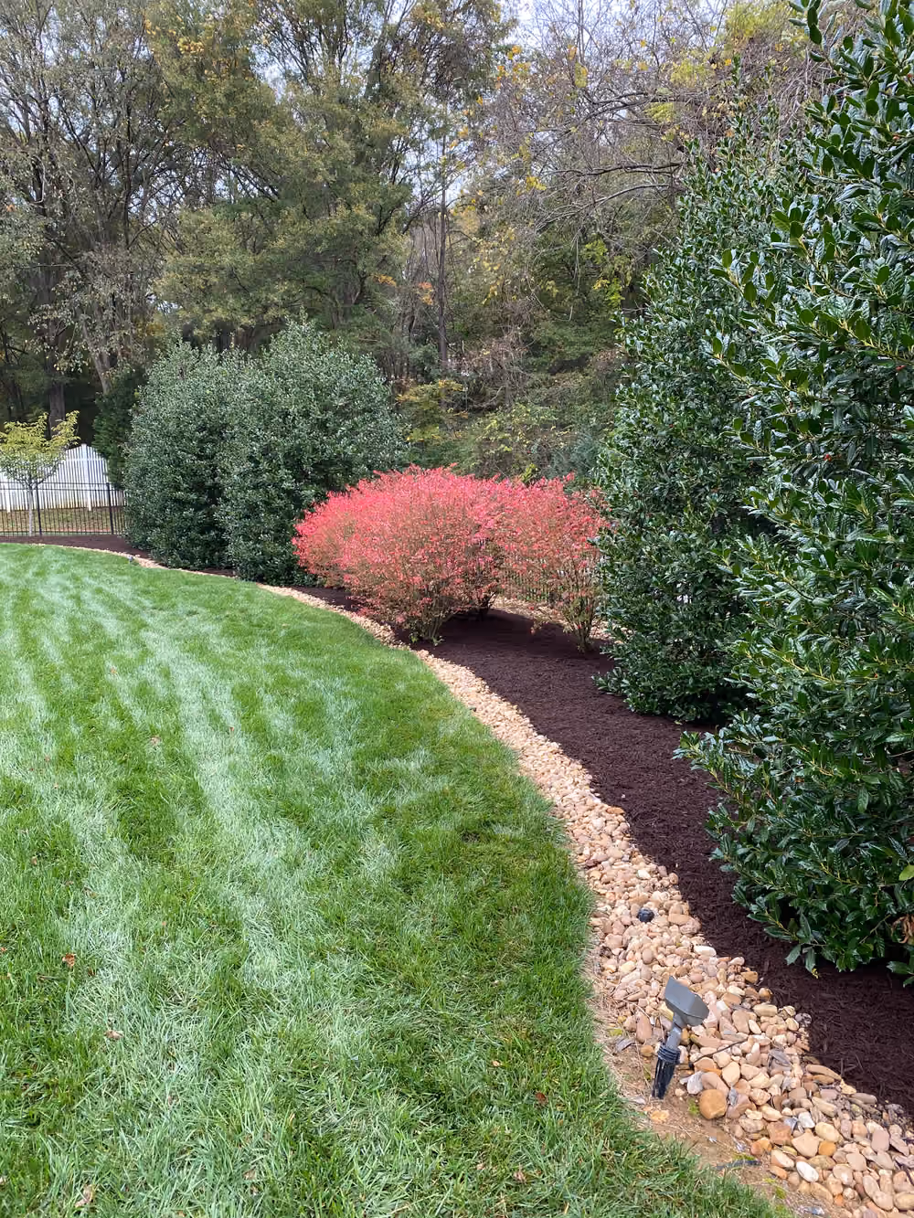 Red mulch bed with a crisp spade edge curving along a green lawn